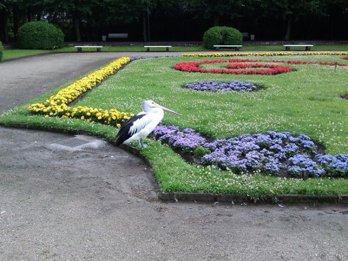 Schlosspark Friedrichsfelde